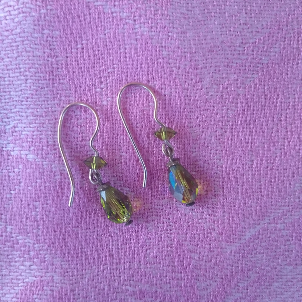 🌿 Iridescent Earrings